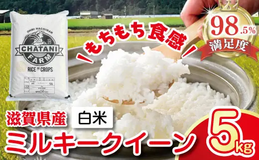 【7年産】近江米 ミルキークイーン 白米 5kg 【V009W1】近江米
