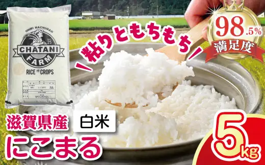 【7年産】 近江米 にこまる 白米 5kg 【V017W1】 近江米
