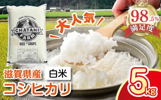 【7年産】近江米 コシヒカリ 白米 5kg 【V011W1】こしひかり 近江米 お米