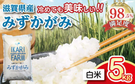 令和7年産 みずかがみ 白米 5kg 冷めても美味しい あっさりとした味わい 【C014W1】 近江米