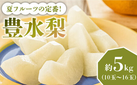 【2026年8月〜発送】【口いっぱいのみずみずしさ！】豊水梨 約5kg 梨専門 八木農園 / 梨 なし ナシ / 南島原市 / 贅沢宝庫 [SDZ033]