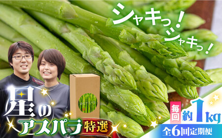 【6回定期便】春＆夏のグリーンアスパラガス 約1kg [SEY011] アスパラ