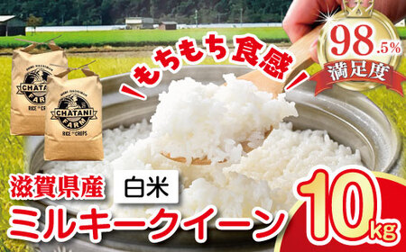 【7年産】近江米 ミルキークイーン 白米 10kg 【V010W1】 近江米 お米 5kg 2袋