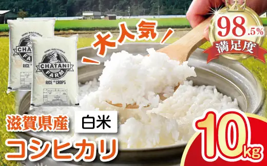 【7年産】近江米 コシヒカリ 白米 10kg 【V012W1】 こしひかり 近江米
