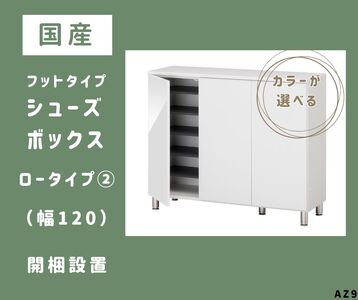AZ9　フットタイプ国産シューズボックス（ロータイプ②）※開梱設置　【 シューズボックス 靴箱 オーダー サイズオーダー セミオーダー 国産 日本製 家具 収納家具 完成品 】