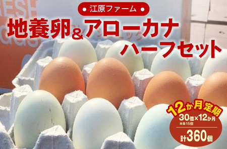【定期便12か月】江原ファーム　地養卵＆アローカナハーフセット（30個） _AG21