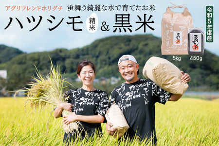 【令和5年度産】蛍舞う綺麗な水で育てた岐阜県の幻のお米 有機肥料米 ハツシモ(精米)5kg＆黒米450gセット [1452]