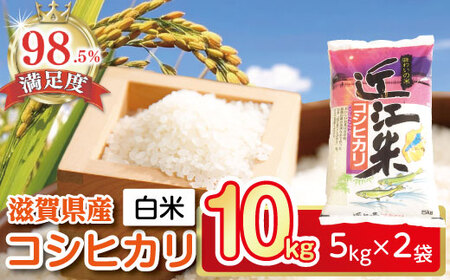 お米コシヒカリ（白米） コシヒカリ 無洗米 10kg 送料無料 5kg×2袋 新潟県産 令和7年産 米 お米