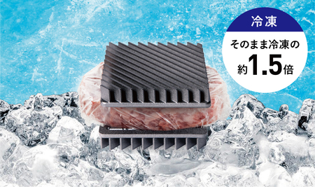 B279　OMRIQ PLATE（オムリック プレート） 【解凍プレート 解凍皿 自然解凍 時短 早い 挟んで使う BBQ 肉 冷凍 大阪 八尾市】