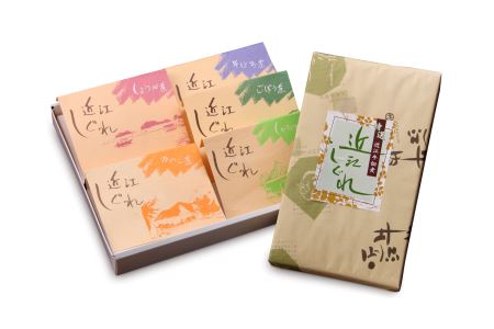 近江しぐれ　５種【500ｇ（100ｇ×5種類）】【N011W】