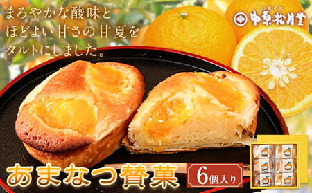 菊池銘菓 あまなつ賛菓 6個入 1箱 有限会社中原松月堂《30日以内に出荷予定(土日祝除く)》 熊本県 菊池市 スイーツ デザート タルトケーキ 甘夏 柑橘 個包装 お菓子 焼き菓子