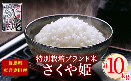 【東吾妻町産】特別栽培ブランド米 さくや姫 10kg(5kg×2袋) お米 良質 水 国際大会 受賞 希少 金賞 美味しい 精米 白米 ご飯 おにぎり お弁当 和食 産地直送 国産 