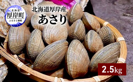 北海道 厚岸産 砂抜き済み あさり 2.5kg【光輝】 [ 海産物 海の幸 味が濃い 貝類 貝 みそ汁 酒蒸し アサリバター 食材 食べ物 パスタ ] 