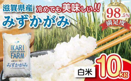 令和7年産 みずかがみ 白米 10kg ( 5kg × 2袋 )  冷めても美味しい あっさりとした味わい 【C015W1】近江米