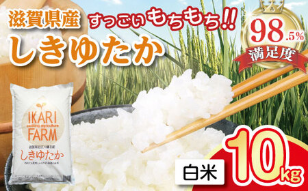 令和7年産 白米 しきゆたか 10kg ( 5kg × 2袋 ) すっごいもちもち 【C004W1】 近江米