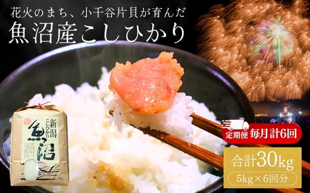 魚沼産コシヒカリ 5kg×6か月連続お届け 花火のまち片貝 | 30キロ 定期便 新潟県 魚沼 令和7年