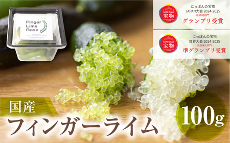 フィンガーライム果実 国内生産 2キロ 即日発送 先行予約 フィンガーライムアソート 果実 100g 詰め合せ 品種お任せ