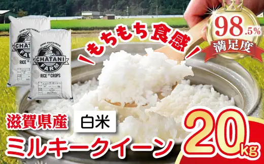 【7年産】近江米 ミルキークイーン 白米 20kg 【V015W】 近江米