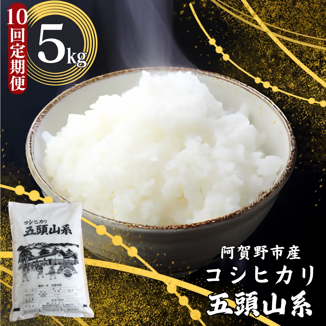 【令和7年産】【10回定期便】「米屋のこだわり阿賀野市産」コシヒカリ 5kg×10回 新潟県 米 こめ コメ 白米 精米 1E23167