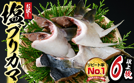 ＜お試し用＞ひもの丸丁の塩ブリカマ(3～4枚入り)×2パック　大分県産 国産 ブリ ぶり 鰤 養殖ブリ 新鮮 鰤かま 冷凍 大分県 佐伯市【DH254】【ネクサ】