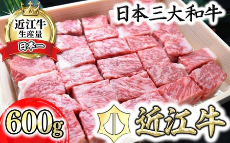 近江牛 サーロインステーキ 600g  角切り 【H015W】 ステーキ