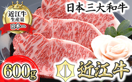 近江牛 サーロインステーキ 600g (200g×3枚) AF04W  ステーキ