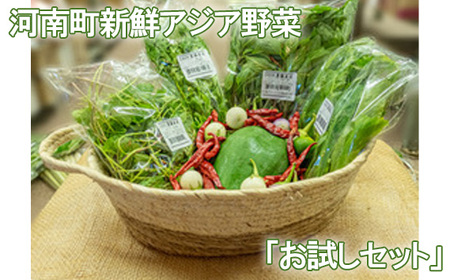 河南町新鮮アジア野菜「お試しセット」 No.331
