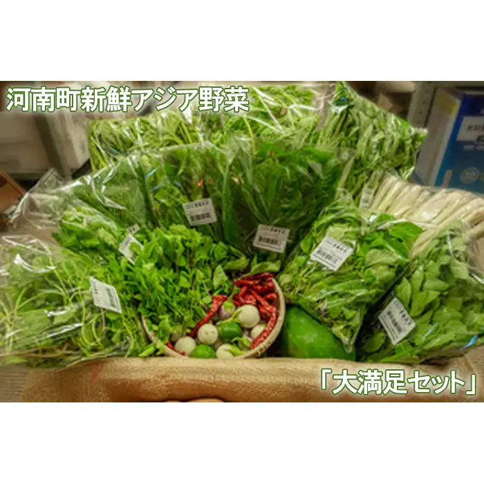 河南町新鮮アジア野菜「大満足セット」 No.334