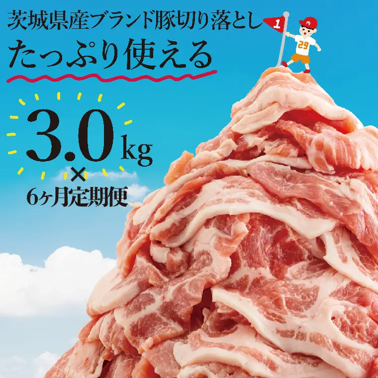【数量限定】【6か月定期便】【リピーター続出！】茨城県産豚ブランド切り落とし計18kg(３kg×6回)（EC-103）