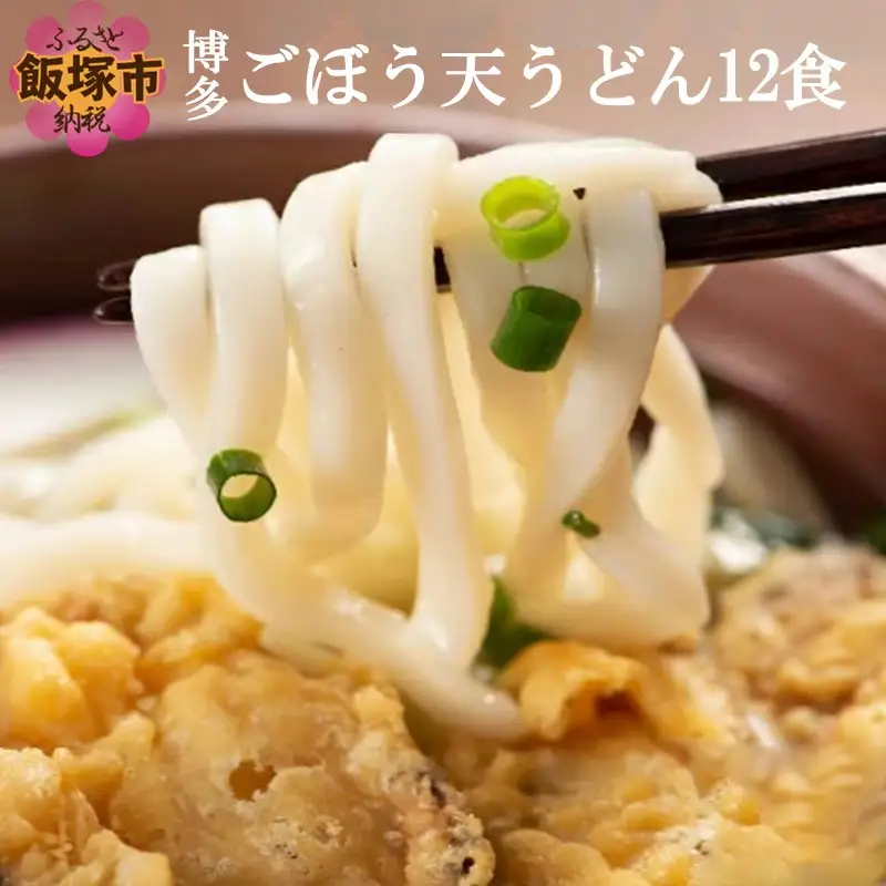 博多ごぼう天うどん 12食セット【簡易梱包でお届け】【A-794】