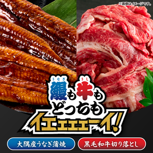 2265 鰻も牛もどっちもイエェェェーイ！セット1 KN050-003-01 冷凍 肉 魚 黒毛和牛