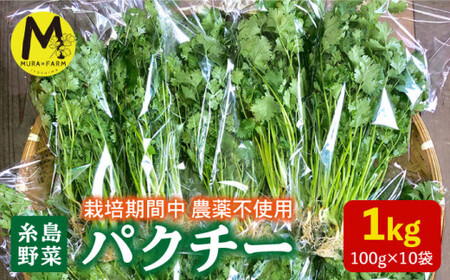 糸島産 パクチー 1kg （100g×10袋）糸島市 / MURA FARM [AFD002]