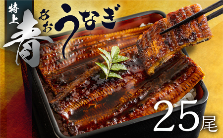 最高級 特上 幻の青うなぎ 25尾 うなぎ