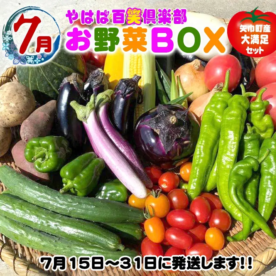数量限定　矢巾町産　夏野菜セット【10種】7月発送/産地直送 野菜セット 約10品目 新鮮 旬 野菜 やさい きゅうり ナス ピーマン 玉ねぎ りんご じゃがいも トマト ミニトマト キャベツ にんじん 枝豆 ネギ 詰め合わせ お取り寄せ おまかせ おすすめ 岩手県 矢巾町