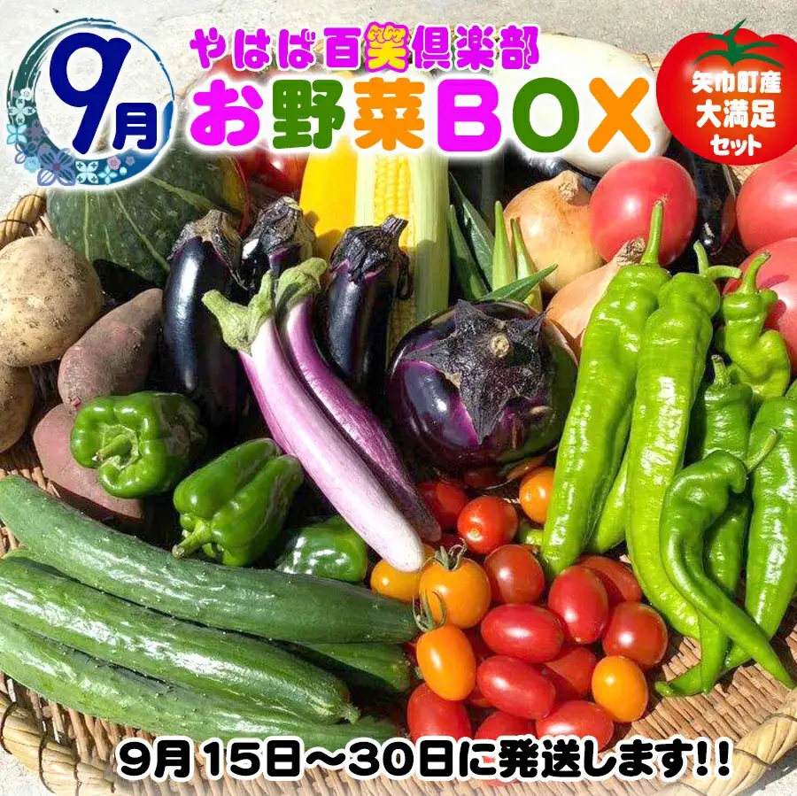 数量限定　矢巾町産　秋野菜セット【10種】9月発送/産地直送 野菜セット 約10品目 新鮮 旬 野菜 やさい きゅうり ナス ピーマン 玉ねぎ りんご じゃがいも トマト ミニトマト キャベツ にんじん 枝豆 ネギ 詰め合わせ お取り寄せ おまかせ おすすめ 岩手県 矢巾町
