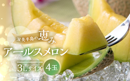 《先行予約》アールスメロン 3L×4玉 メロン 日研農園
