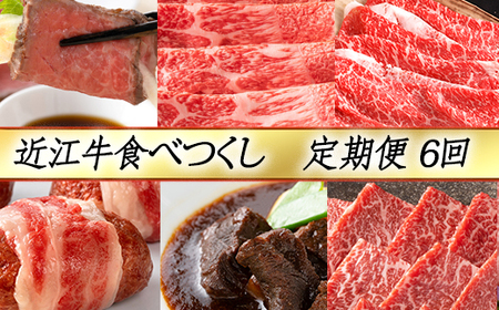 近江牛 定期便 6か月 6回 カネ吉山本 食べつくし定期便 -賀- Y145W 【 近江牛 】 牛肉 ローストビーフ しゃぶしゃぶ すき焼き ハンバーグ ビーフシチュー 焼肉