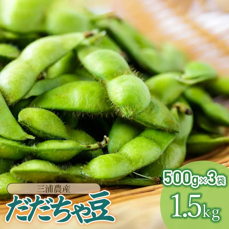 【令和8年産先行予約】 山形県鶴岡産 だだちゃ豆　約1.5kg（500g×3袋）　三浦農産