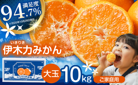 ※【2026年12月上旬より順次発送／先行予約】伊木力みかん(大玉) 10kg / みかん ミカン 蜜柑 フルーツ 果物 / 諫早市 / 山野果樹園 [AHCF005]