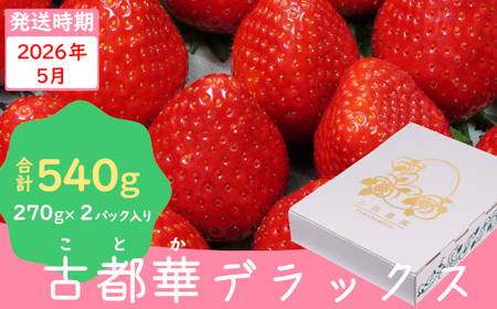 （冷蔵）【５月発送分】イチゴ 奈良県産高級ブランド品種「古都華」デラックス（270g×２パック） ／ 上田農園 苺 いちご 果物 フルーツ 甘い 奈良県 田原本町