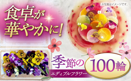 季節のエディブルフラワー100輪おまかせ 桂川町/NOGAMI FARM [ADAU002] 食用 花 食用花