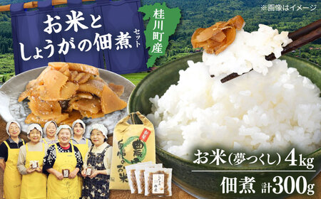  桂川町産 白米 4kg と しょうがの佃煮セット [ADAI001] 米 佃煮