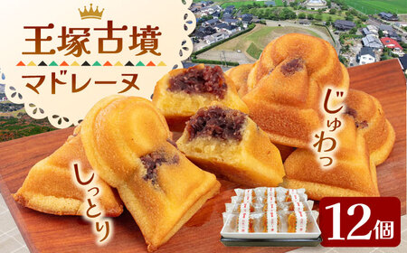 王塚古墳マドレーヌ（12個入り） [ADAJ001]  焼菓子マドレーヌ