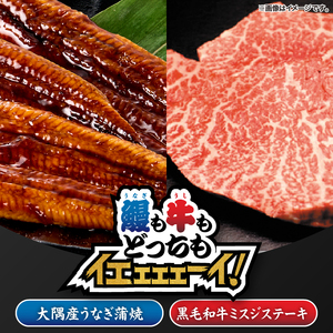 2267 鰻も牛もどっちもイエェェェーイ！セット3 KN050-003-03 冷凍 肉 魚 黒毛和牛