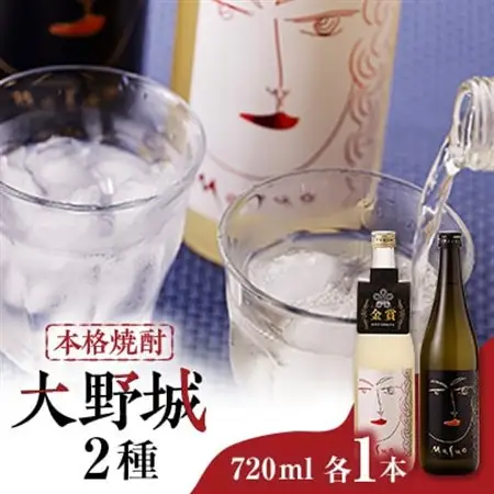 本格焼酎大野城セット_酒・アルコール 麦焼酎 焼酎 _【1451111】