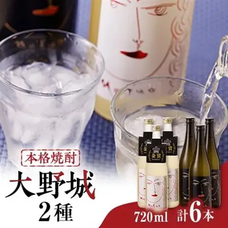 本格焼酎大野城詰合せ_酒・アルコール 麦焼酎 焼酎 _【1451115】