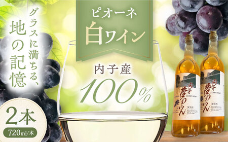 内子夢わいん 白ワイン (ピオーネ) 約720ml 2本 BKAG009