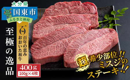 【A4～A5等級】おおいた和牛 ミスジ ステーキ 100g×4枚（合計400g）_1103R