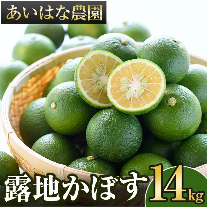 ＜先行予約受付中！2026年8月上旬以降順次発送予定＞露地カボス(約14kg)かぼす カボス 柑橘 特産品 大分県産【107100903】【あいはな農園】