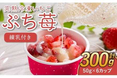 いちご 冷凍 50g×6カップ 合計300g 練乳 完熟 冷凍 いちご 「ぷち苺」 50g×6カップ 合計300g 練乳付き 1本（120g） 園村苺園 熊本県産冷凍いちご 宇城市産冷凍いちご 九州産冷凍いちご 